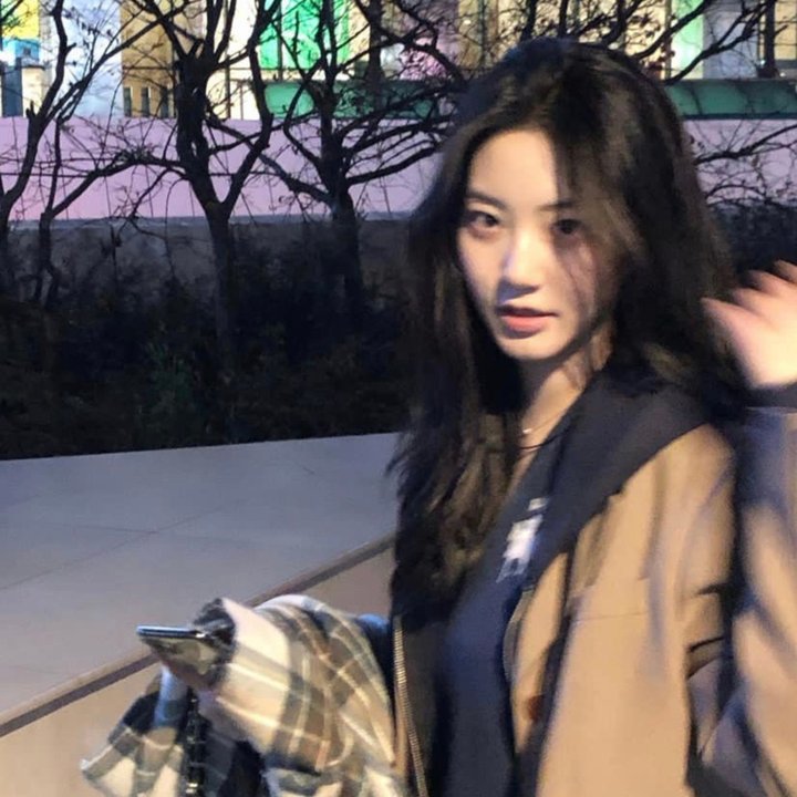 幸福是一尾皱颈蜥蜴